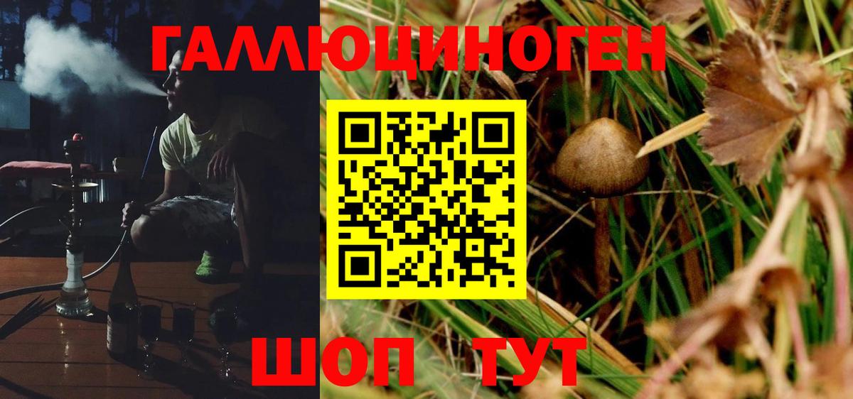 Псилоцибиновые грибы Psilocybe  Вход с VPN  Воткинск  Псилоцибиновые грибы мицелий 